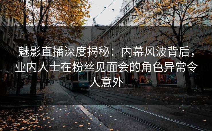 魅影直播深度揭秘:内幕风波背后,业内人士在粉丝见面会的角色异常令人意外 魅影直播深度揭秘:内幕风波背后,业内人士在粉丝见面会的角色异常令人意外