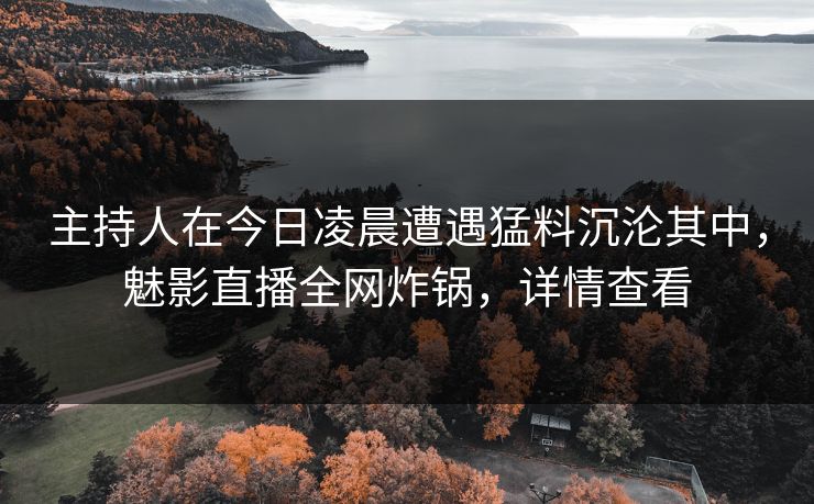 主持人在今日凌晨遭遇猛料沉沦其中,魅影直播全网炸锅,详情查看 主持人在今日凌晨遭遇猛料沉沦其中,魅影直播全网炸锅,详情查看