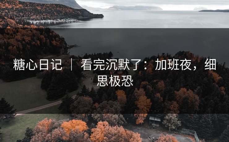 糖心日记 ｜ 看完沉默了：加班夜，细思极恐